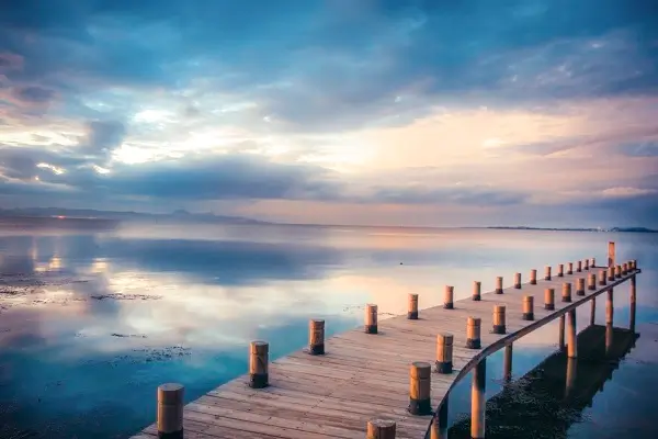 考大学为什么都学法律