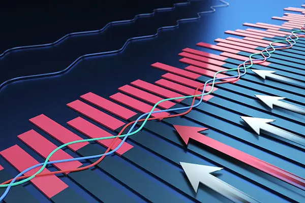 什么叫求情辩护权法律