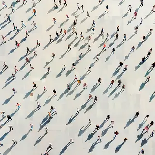 法律91条是什么内容啊