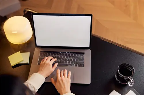 关于什么是法律