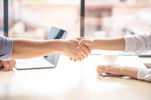 随字笔顺随怎么写，正确写法详解